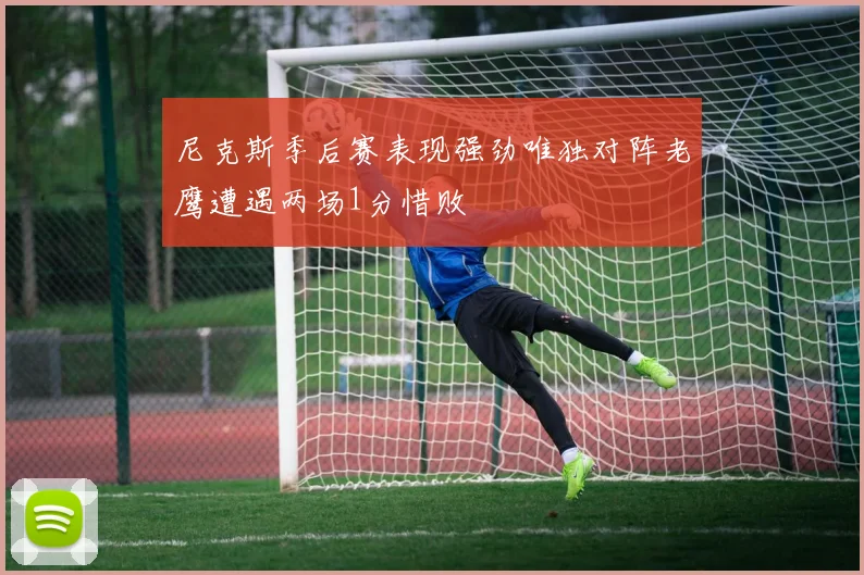 尼克斯季后赛表现强劲唯独对阵老鹰遭遇两场1分惜败