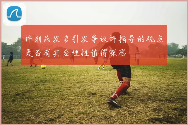 许利民发言引发争议许指导的观点是否有其合理性值得深思