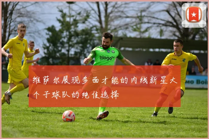 维萨尔展现多面才能的内线新星大个子球队的绝佳选择