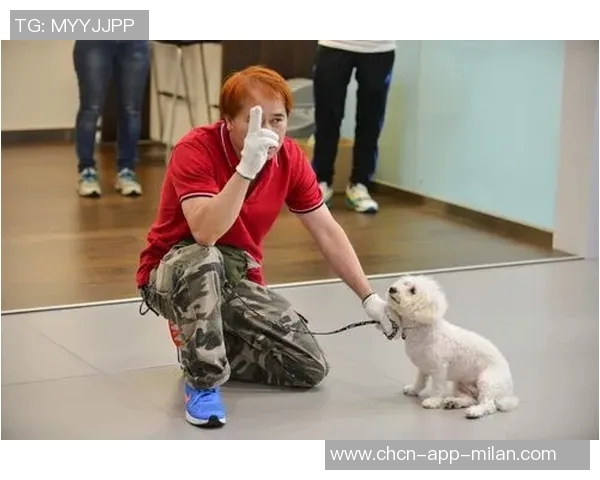 悬赏金激增至两万美元拉姆塞全力寻回心爱爱犬 悬赏金激增至两万美元拉姆塞全力寻回心爱爱犬