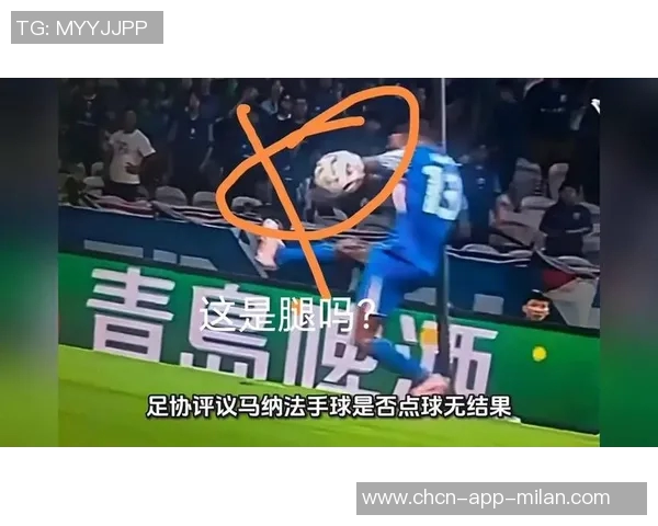 前裁判点评帕夫洛维奇手球争议认为判罚过于严格引发热议